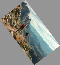 Rotate Image Online
